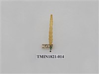 藏品(蔬菜害蟲)的圖片